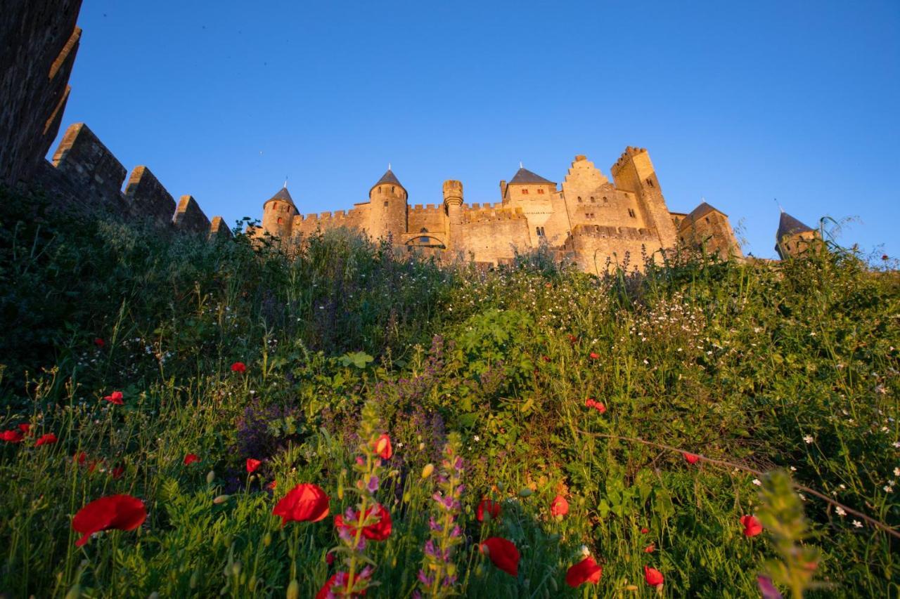 Tout Confort ! Climatisation, Centre-Ville, Parking, Terrasse, Wifi, Netflix Carcassonne Buitenkant foto