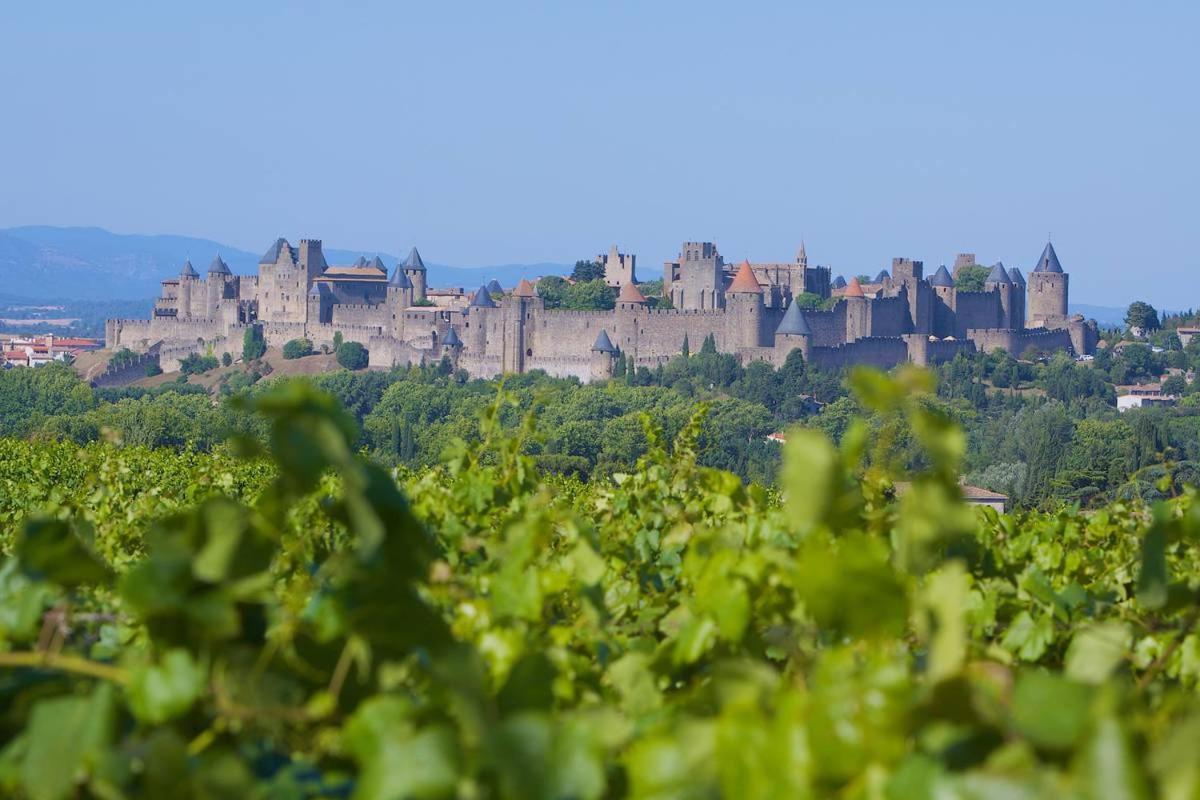 Tout Confort ! Climatisation, Centre-Ville, Parking, Terrasse, Wifi, Netflix Carcassonne Buitenkant foto