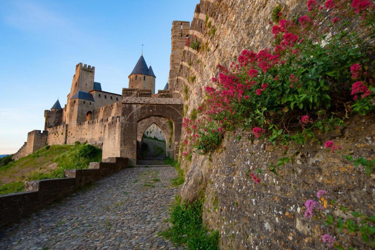 Tout Confort ! Climatisation, Centre-Ville, Parking, Terrasse, Wifi, Netflix Carcassonne Buitenkant foto