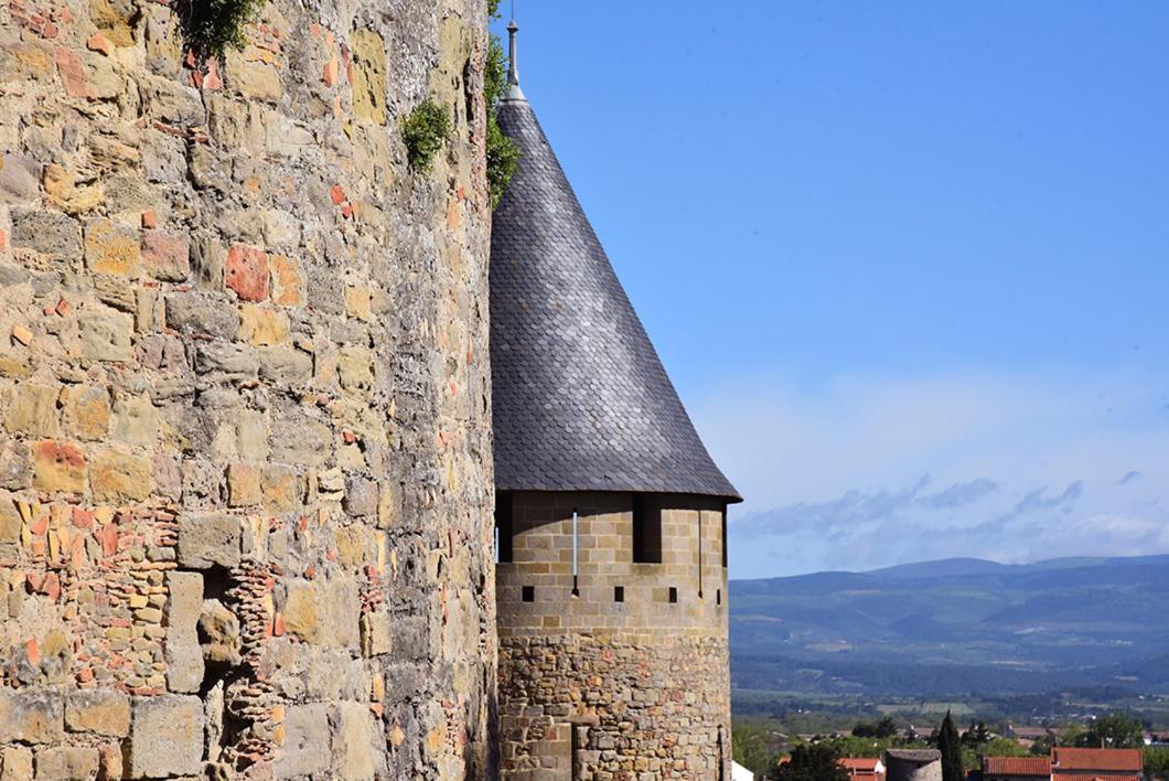 Tout Confort ! Climatisation, Centre-Ville, Parking, Terrasse, Wifi, Netflix Carcassonne Buitenkant foto