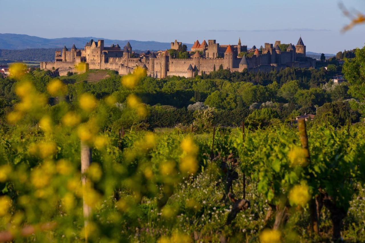 Tout Confort ! Climatisation, Centre-Ville, Parking, Terrasse, Wifi, Netflix Carcassonne Buitenkant foto